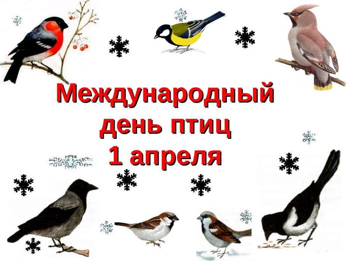 1  -   