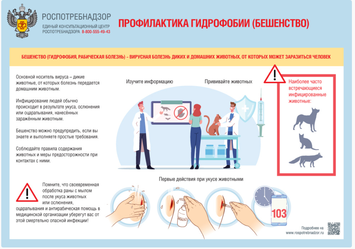 ������������ ��������